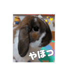 ゆーま公式①（個別スタンプ：1）