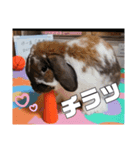ゆーま公式①（個別スタンプ：2）