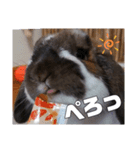 ゆーま公式①（個別スタンプ：3）