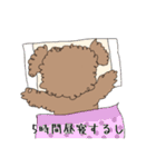 シュールな感じの犬（個別スタンプ：12）