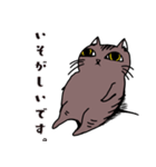 多忙猫（個別スタンプ：1）
