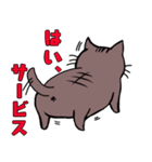 多忙猫（個別スタンプ：3）