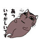 多忙猫（個別スタンプ：4）