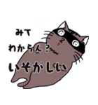 多忙猫（個別スタンプ：5）