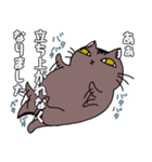 多忙猫（個別スタンプ：6）