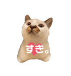 ちゃたとくう（個別スタンプ：2）
