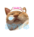 ちゃたとくう（個別スタンプ：5）