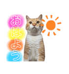 ちゃたとくう（個別スタンプ：8）