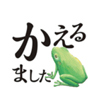 おたま日記-カエルの独り言-（個別スタンプ：5）