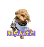 紫友会 命を守る活動の為に（個別スタンプ：6）