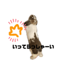 敬語のうさぎさん“momo”ちゃん（個別スタンプ：22）