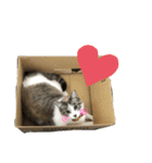 猫のりん3（個別スタンプ：2）