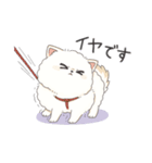 うちポメぴりか（個別スタンプ：25）
