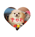 なかーーま（個別スタンプ：1）