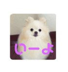 なかーーま（個別スタンプ：4）