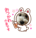 ぽんず元気（個別スタンプ：8）