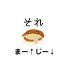 日常  しろあんスタンプ（個別スタンプ：7）