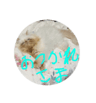 Meyにゃん2（個別スタンプ：5）
