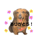 G⭐︎I⭐︎N⭐︎O（個別スタンプ：6）