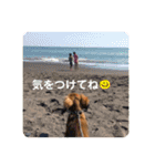 G⭐︎I⭐︎N⭐︎O（個別スタンプ：19）