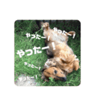 G⭐︎I⭐︎N⭐︎O（個別スタンプ：20）