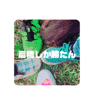 G⭐︎I⭐︎N⭐︎O（個別スタンプ：21）