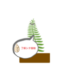そうしよう植物（個別スタンプ：6）