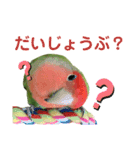 感情丸出しコザクラインコ（個別スタンプ：4）