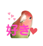 感情丸出しコザクラインコ（個別スタンプ：10）