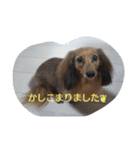 HIRAME2021（個別スタンプ：16）