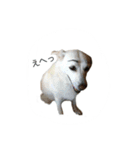 まるらむ（個別スタンプ：3）