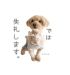 Kinaco.のスタンプ（個別スタンプ：5）