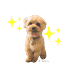 Kinaco.のスタンプ（個別スタンプ：17）