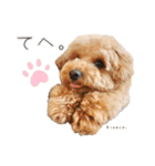 Kinaco.のスタンプ（個別スタンプ：23）