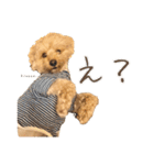 Kinaco.のスタンプ（個別スタンプ：24）