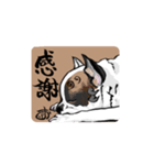 こまいぬ見習い！！こげお 第2段（個別スタンプ：1）