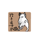 こまいぬ見習い！！こげお 第2段（個別スタンプ：4）