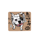 こまいぬ見習い！！こげお 第2段（個別スタンプ：5）