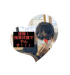 意外と使える（？）大学生の日常スタンプ2（個別スタンプ：4）
