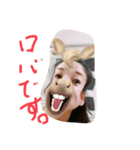 kf0207（個別スタンプ：6）