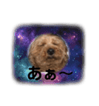 ぐりあぽ（個別スタンプ：4）