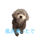 ぐりあぽ（個別スタンプ：13）