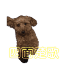 ぐりあぽ（個別スタンプ：17）