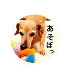 シラン20（個別スタンプ：3）