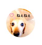 シラン20（個別スタンプ：4）
