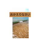反省と後悔（個別スタンプ：4）