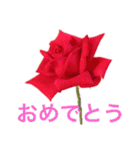 私のバラ（個別スタンプ：21）
