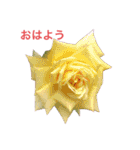 私のバラ（個別スタンプ：25）