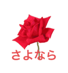 私のバラ（個別スタンプ：36）