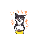 ミーメル～アメショとハチワレ猫～（個別スタンプ：5）